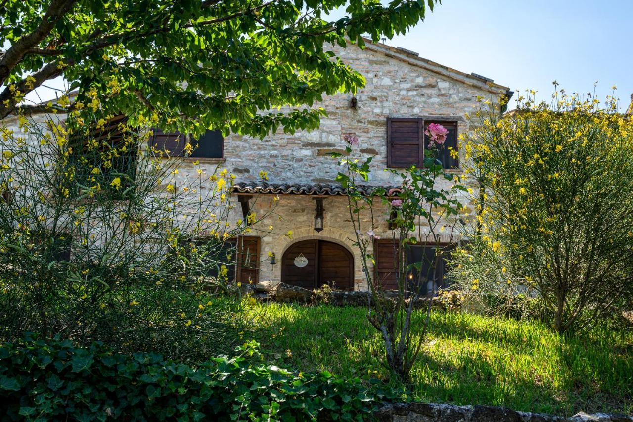 Villa Rustica Le Piagge Sassoferrato Exteriér fotografie