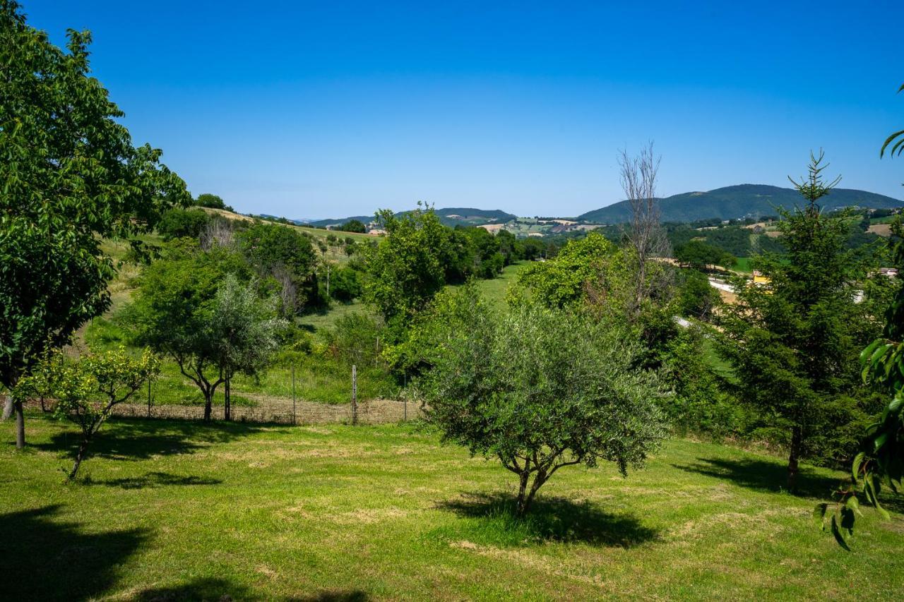 Villa Rustica Le Piagge Sassoferrato Exteriér fotografie