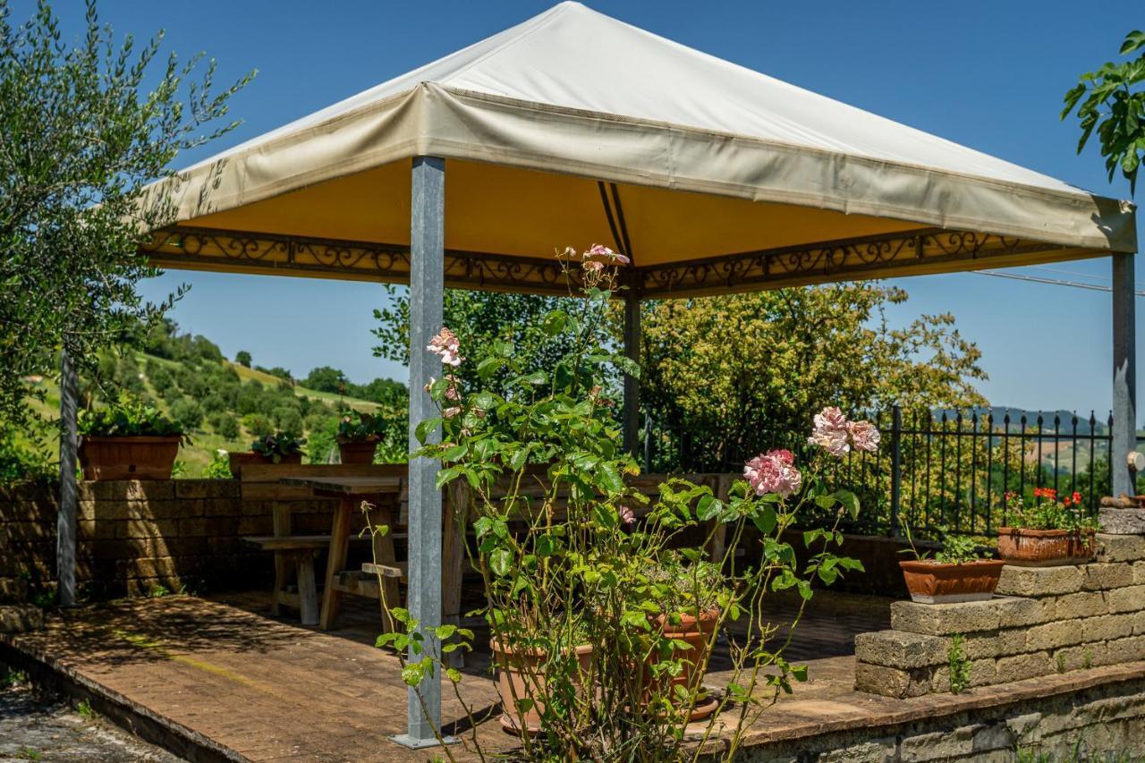 Villa Rustica Le Piagge Sassoferrato Exteriér fotografie